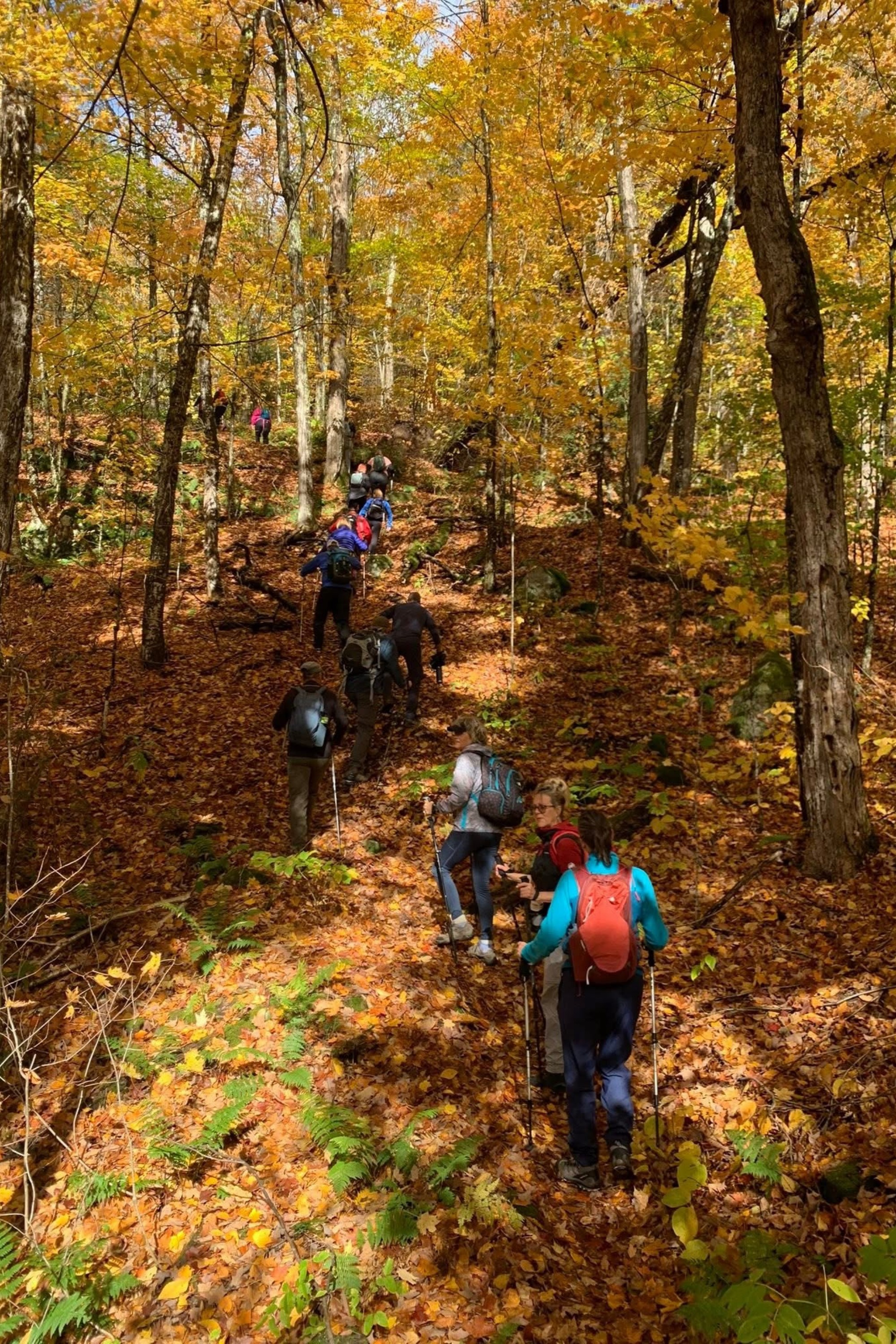 Sentier du Parc Echo